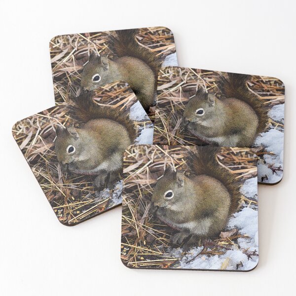 Item preview, Ilustración de ardilla designed and sold by CanadianWild418.