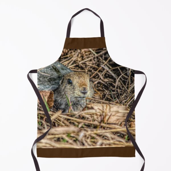 Item preview, Richardson Ground Squirrel in HDR designed and sold by CanadianWild418.