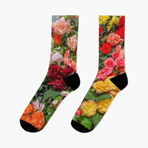 Item preview, Begonia designed and sold by House of Golden.