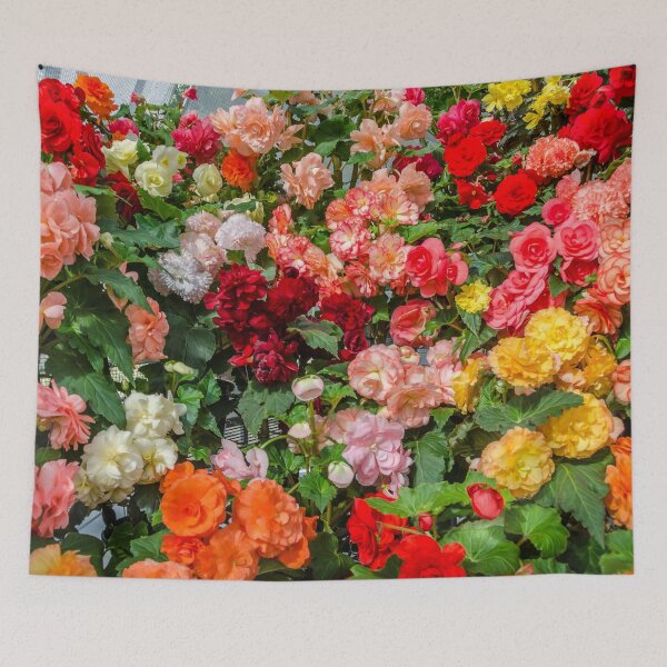 Item preview, Begonia designed and sold by House of Golden.