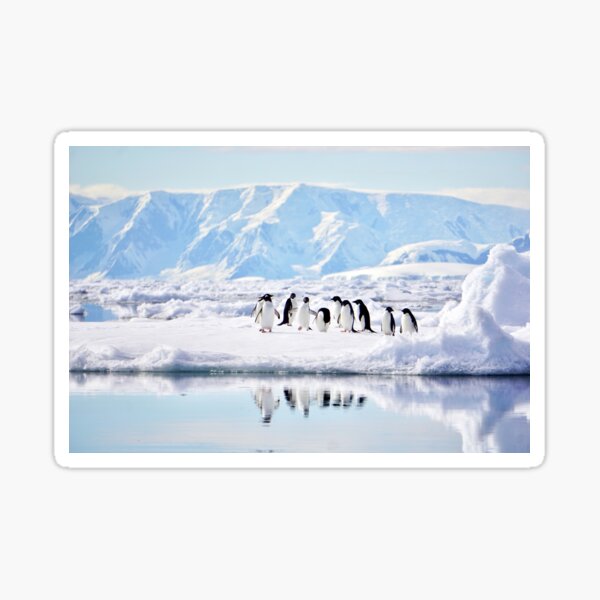 Item preview, Penguin Party designed and sold by Enceladus1.