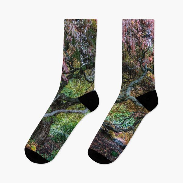 Item preview, Japanese Weeping Maple designed and sold by House of Golden.