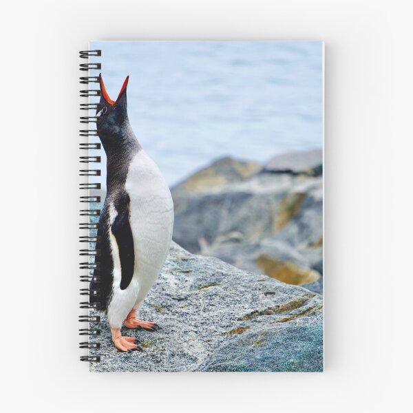 Item preview, Gentoo Song designed and sold by Enceladus1.