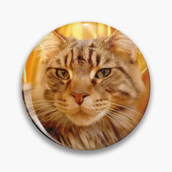 Item preview, You lookin at me? designed and sold by Roz McQuillan Fine Art & Photography.