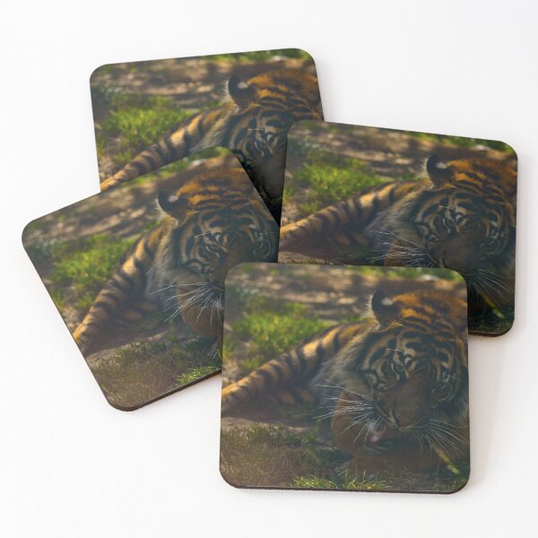 Item preview, Tiger grooming designed and sold by hitomimyhomie.