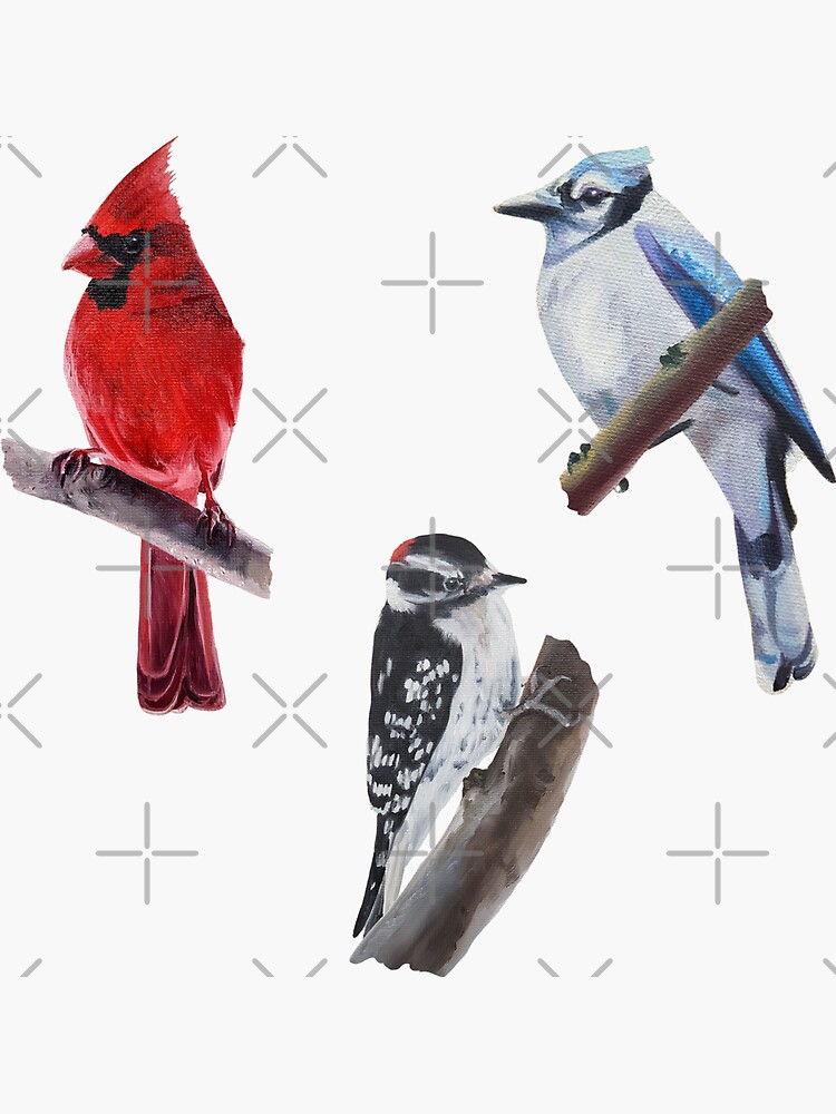 Wild Birds Sticker Set by EmilyBickell