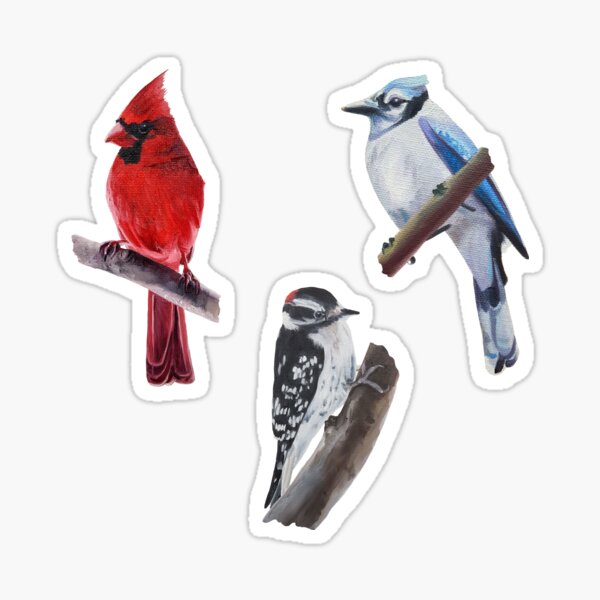  Cardinals Bird Stickers Fanny Pack for Women Men