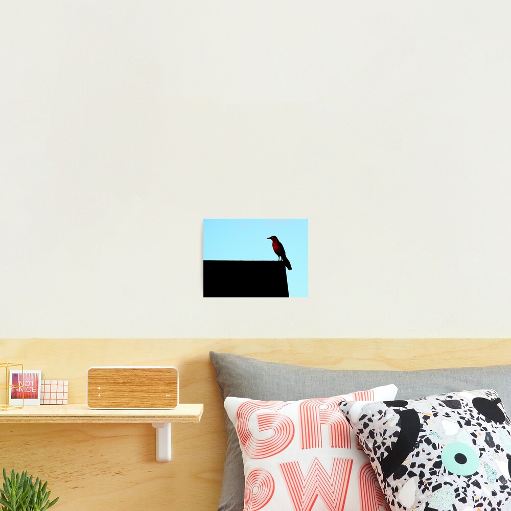 Item preview, Photographic Print designed and sold by Barnbk02.
