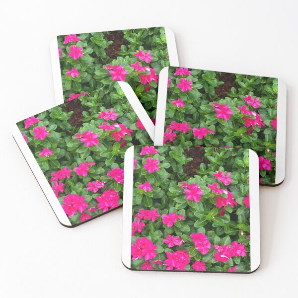 Item preview, fresh bonitas  designed and sold by MickArt.