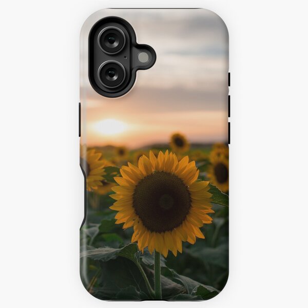 Aperçu de l'œuvre Tournesol et coucher de soleil créée et vendue par hiroyoshiwada.