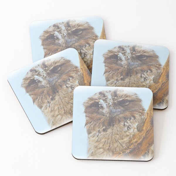 Item preview, Tawny Frogmouth designed and sold by KimHSinclair.