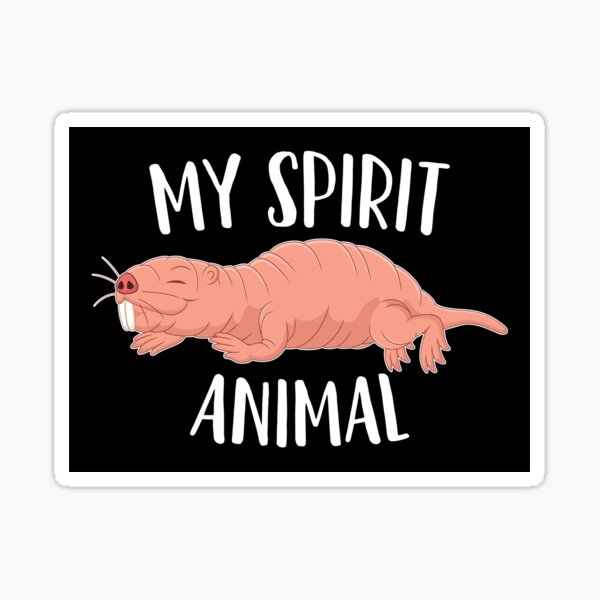 Naked Mole Rat Magnet: Gift for Rat Lovers or Rat Loss Memorial Cute Rat  Art Animal Magnets for Locker or Fridge -  Canada