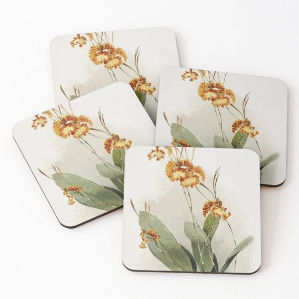 Item preview, Reichenbachia: Orchids Illustrated and Described designed and sold by EsotericBotanic.