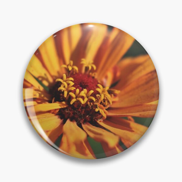 Item preview, Common Zinnia (Zinnia elegans)  designed and sold by Kathleen Daley.