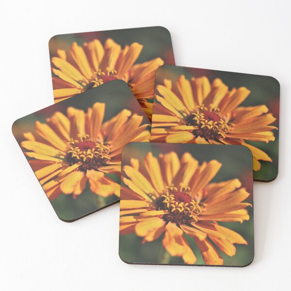 Item preview, Common Zinnia (Zinnia elegans)  designed and sold by Kathleen Daley.