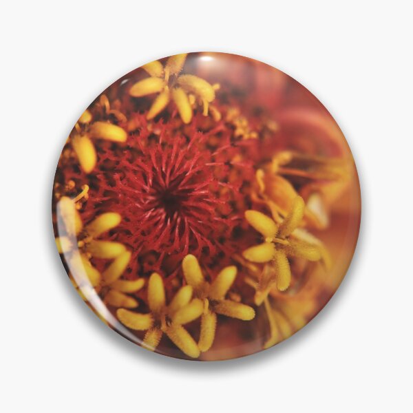 Item preview, Common Zinnia (Zinnia elegans) II designed and sold by Kathleen Daley.