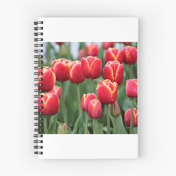 Item preview, It's tulip time designed and sold by Karen Tregoning.