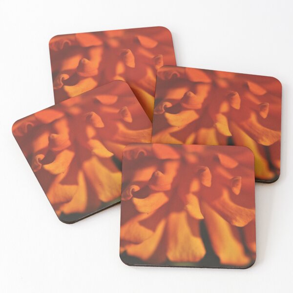 Item preview, Common Zinnia (Zinnia elegans) III designed and sold by Kathleen Daley.