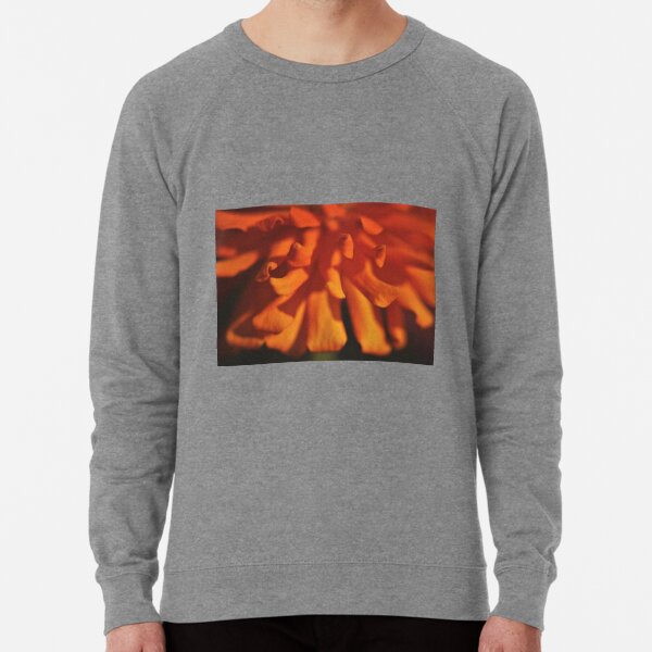 Common Zinnia (Zinnia elegans) III Lightweight Sweatshirt