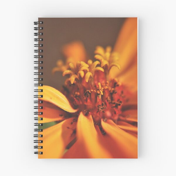 Item preview, Common Zinnia (Zinnia elegans) IV designed and sold by Kathleen Daley.