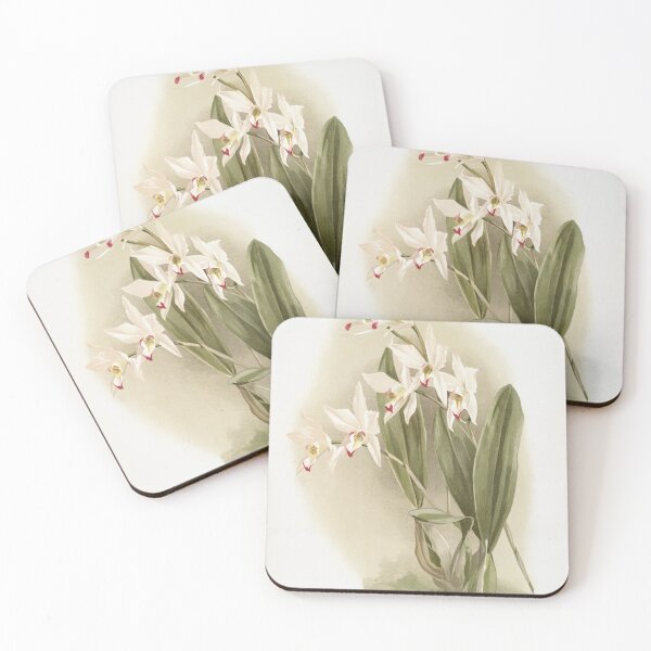 Item preview, Reichenbachia: Orchids Illustrated and Described designed and sold by EsotericBotanic.