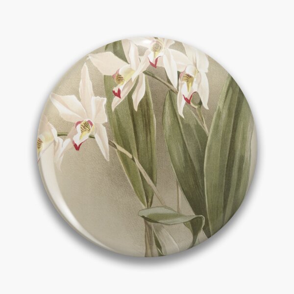 Item preview, Reichenbachia: Orchids Illustrated and Described designed and sold by EsotericBotanic.