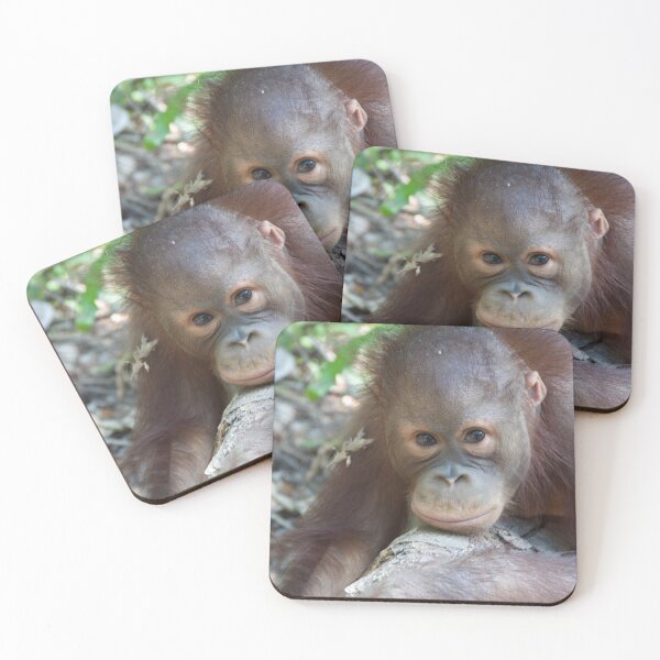 Item preview, Orangutan in Borneo designed and sold by tessneedham.