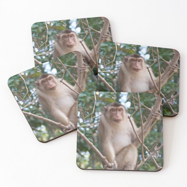 Item preview, Long Tailed Macaque, Borneo designed and sold by tessneedham.