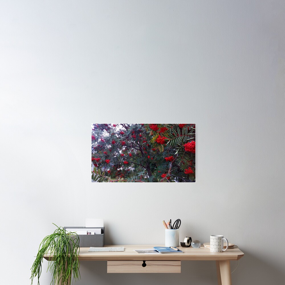Flora and red fruits Poster