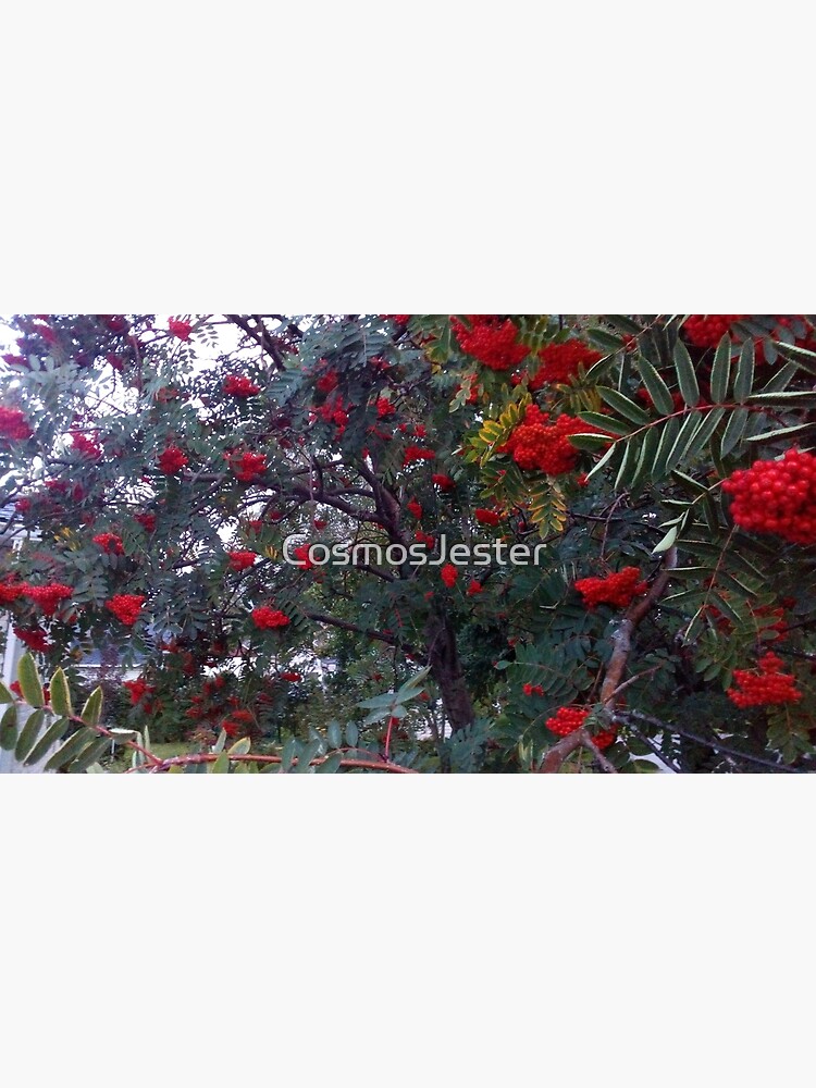 Flora and red fruits by CosmosJester