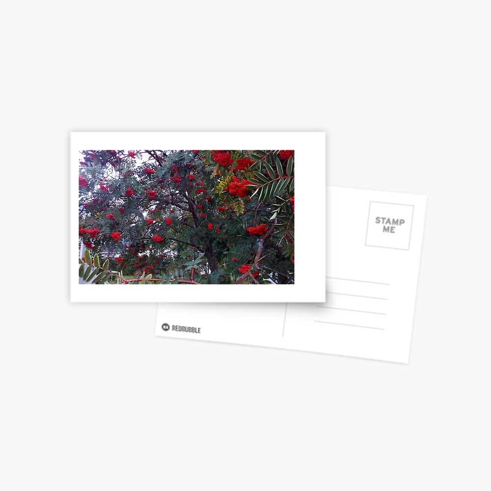 Item preview, Postcard designed and sold by CosmosJester.