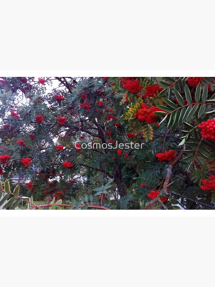 Artwork view, Flora and red fruits designed and sold by CosmosJester