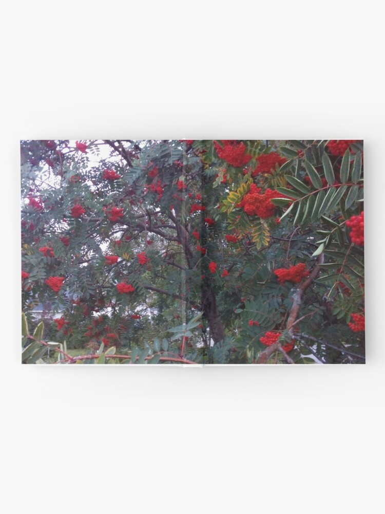 Thumbnail 2 of 3, Hardcover Journal, Flora and red fruits designed and sold by CosmosJester.
