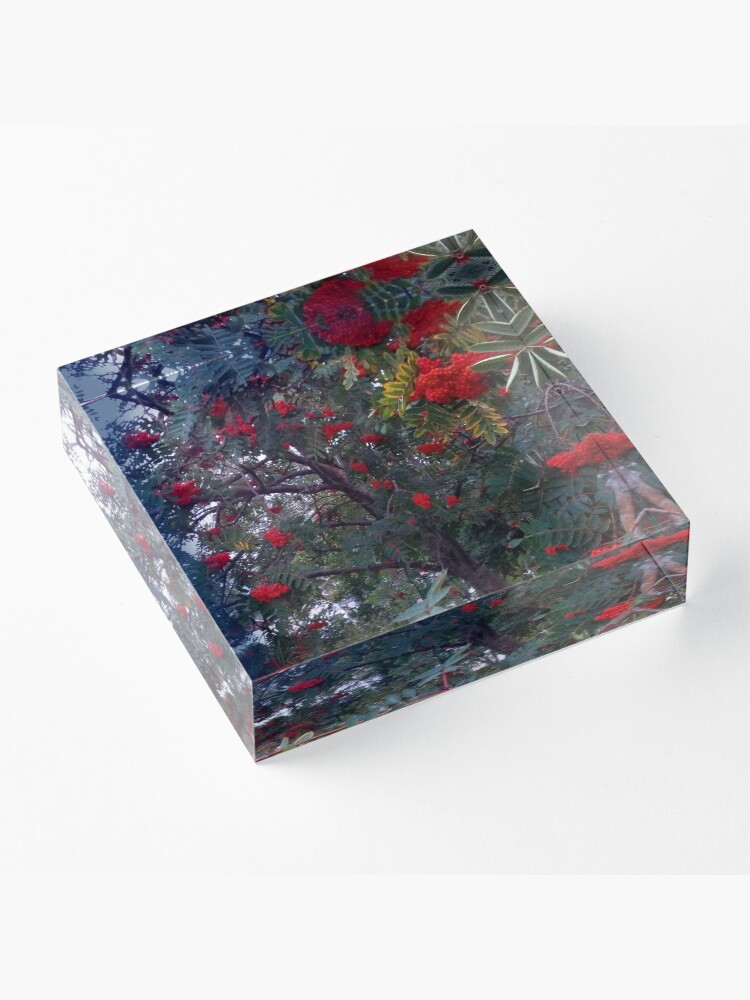 Alternate view of Flora and red fruits Acrylic Block