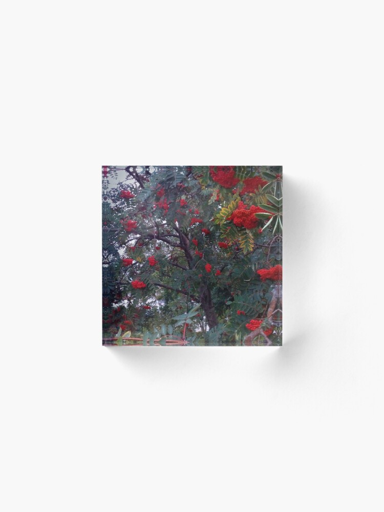 Alternate view of Flora and red fruits Acrylic Block