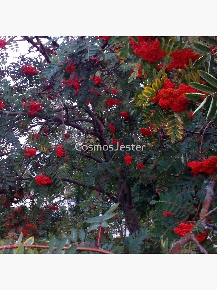 Flora and red fruits by CosmosJester