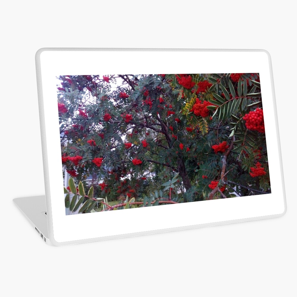Item preview, Laptop Skin designed and sold by CosmosJester.