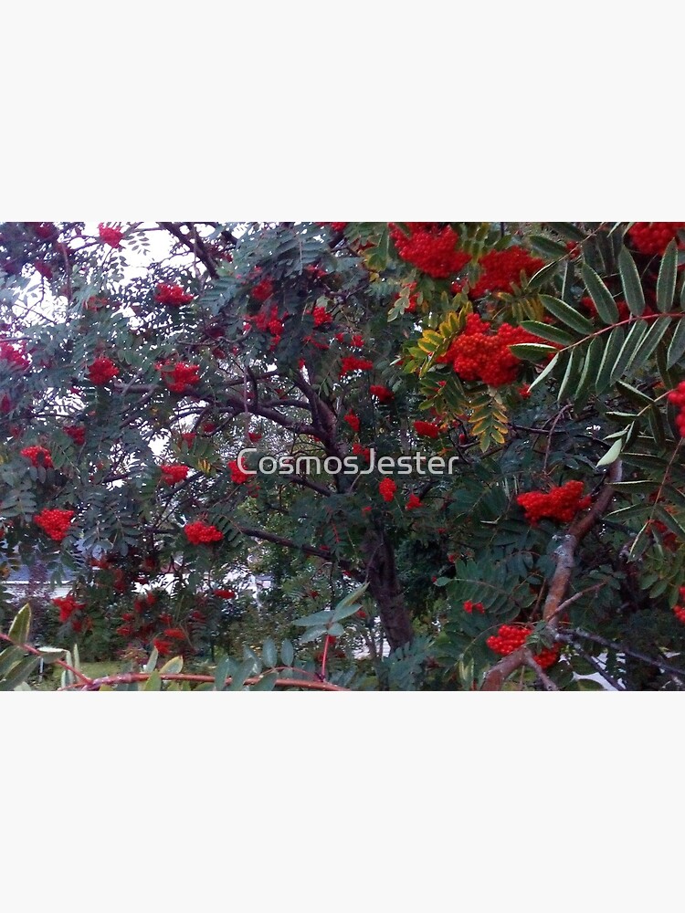 Flora and red fruits by CosmosJester