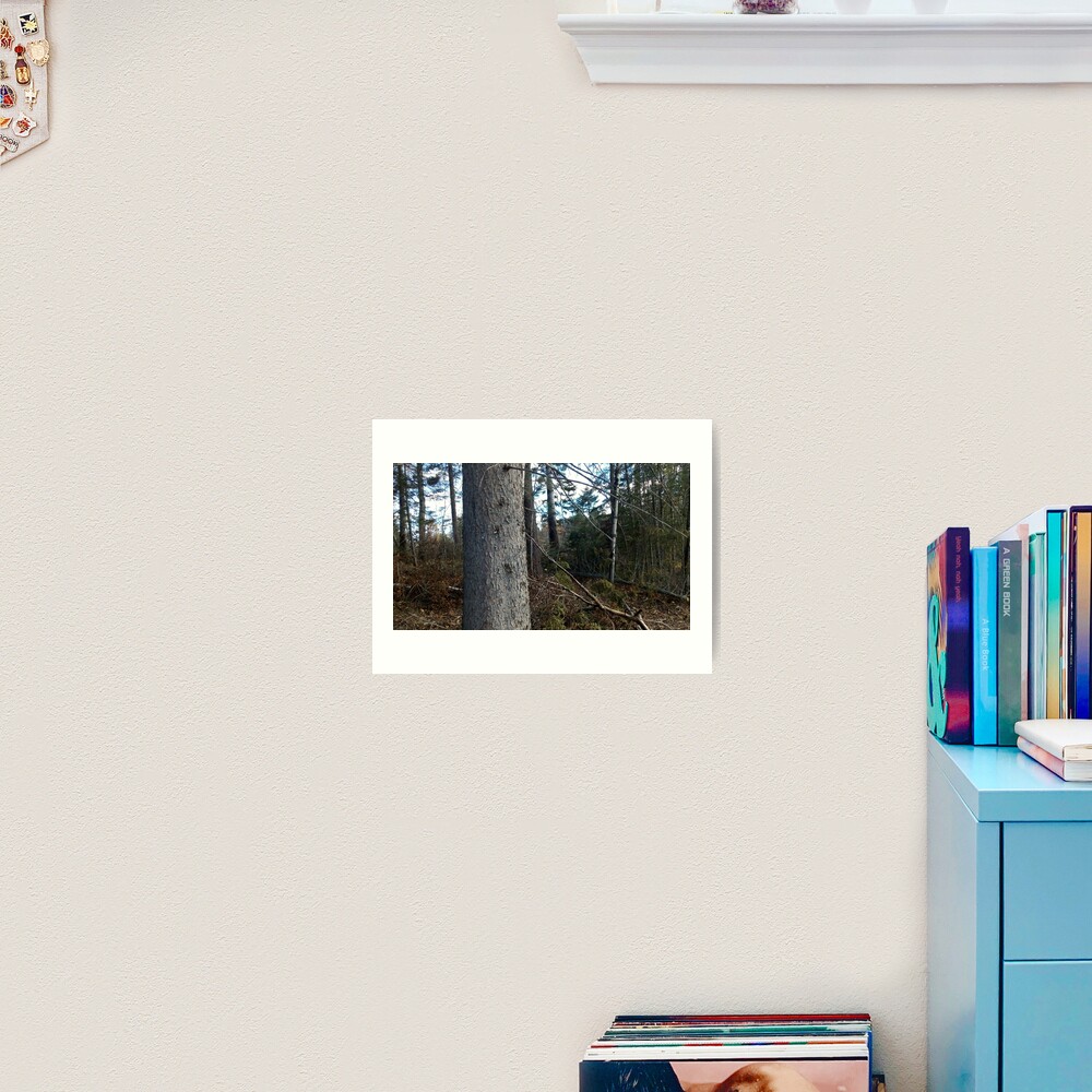 Canadian woodland 1 Art Print