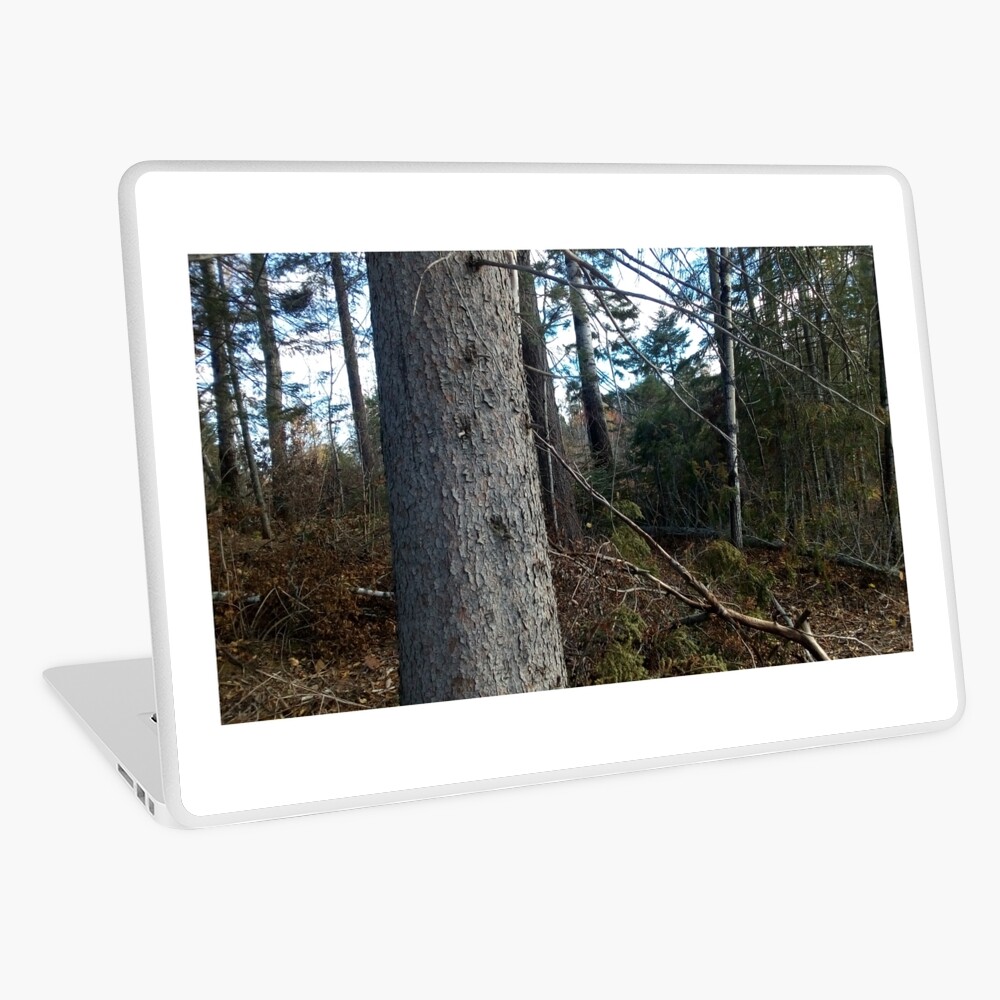 Canadian woodland 1 Laptop Skin