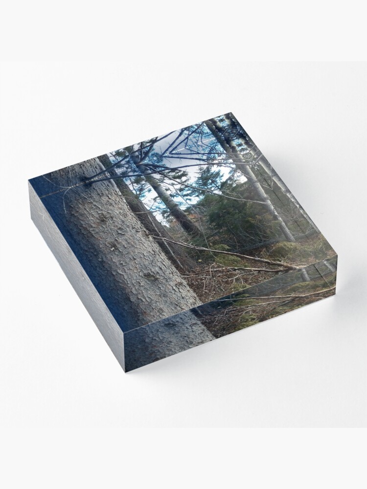 Alternate view of Canadian woodland 1 Acrylic Block
