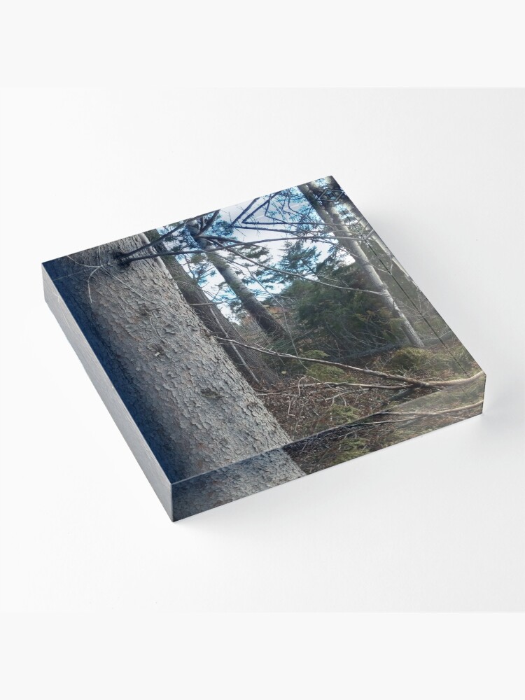 Alternate view of Canadian woodland 1 Acrylic Block