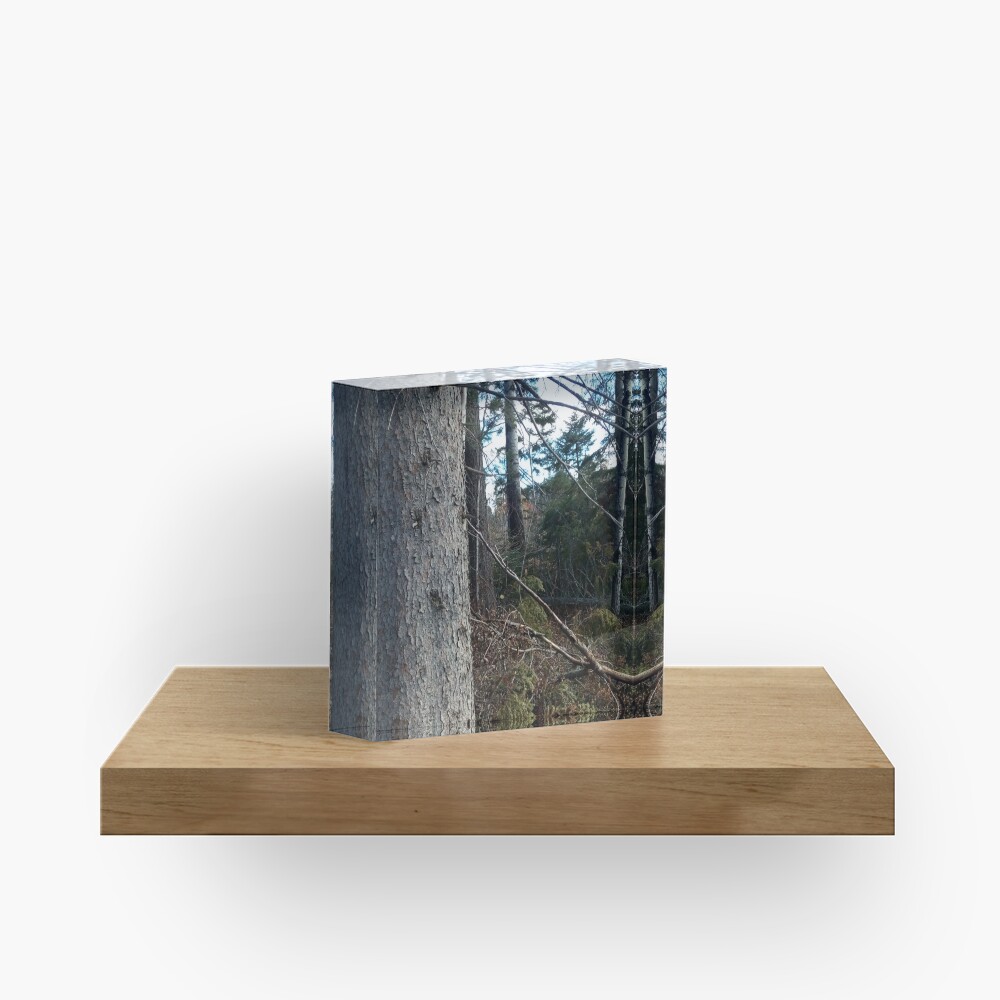 Canadian woodland 1 Acrylic Block