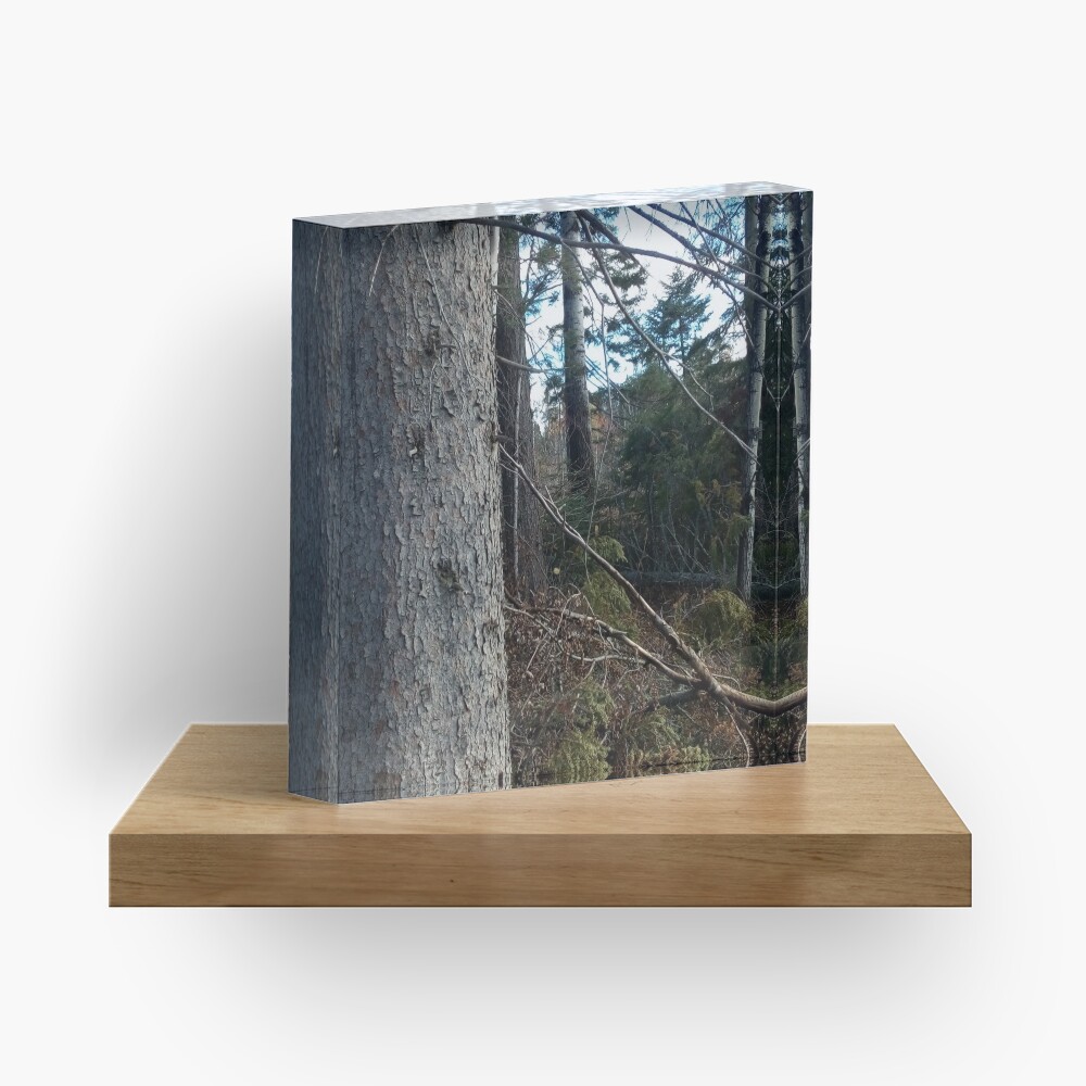 Canadian woodland 1 Acrylic Block