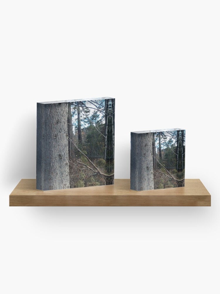 Alternate view of Canadian woodland 1 Acrylic Block