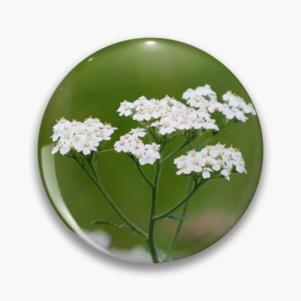 Item preview, Yarrow  number 1 designed and sold by Jouko Lehto Photography.
