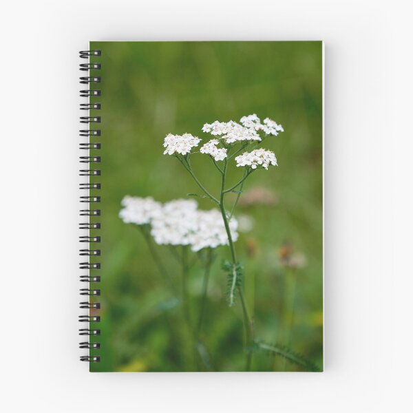 Item preview, Yarrow  number 1 designed and sold by Jouko Lehto Photography.