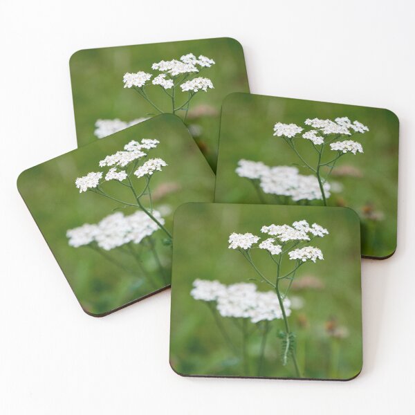 Item preview, Yarrow  number 1 designed and sold by Jouko Lehto Photography.