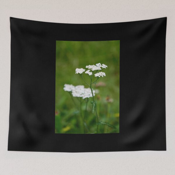 Item preview, Yarrow  number 1 designed and sold by Jouko Lehto Photography.