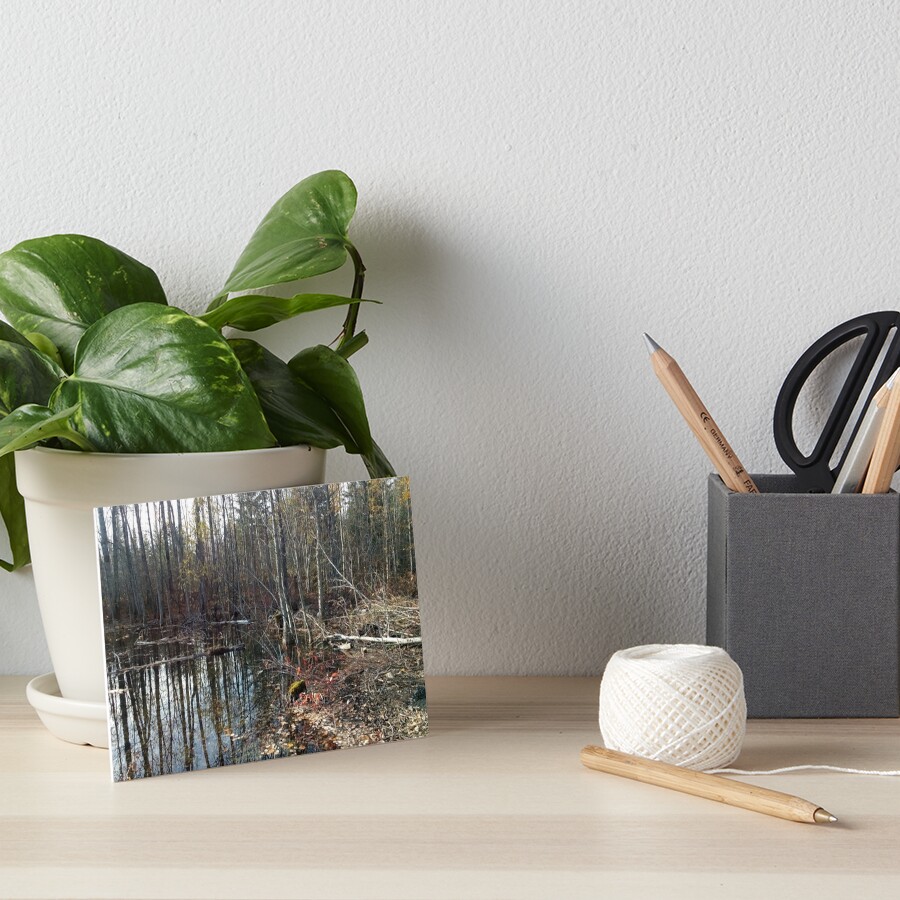 canadian swamp land 1 Art Board Print